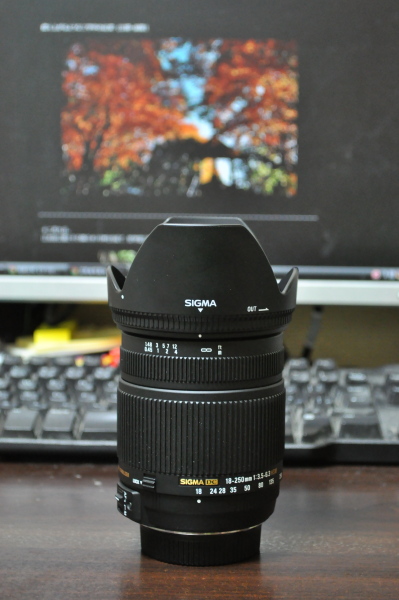 new lens.JPG